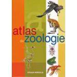 Atlas Zoologic - Cartonat