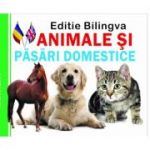Pliant Animale si Pasari domestice, Editie bilingva Romana - Engleza