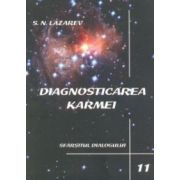 Diagnosticarea Karmei - vol. 11: Sfârşitul dialogului