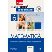 Mate 2012 Consolidare MATEMATICA. ALGEBRA, GEOMETRIE. CLASA A VI-A. PARTEA I