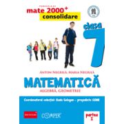 Mate 2013 Consolidare - ALGEBRA, GEOMETRIE. CLASA A VII-A. PARTEA I