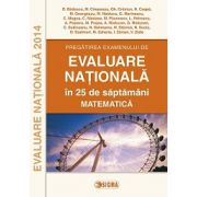 EVALUARE NATIONALA 2014 MATEMATICA - Pregatirea examenului in 25 de saptamani