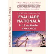 EVALUARE NATIONALA Matematica 2014 in 12 de saptamani