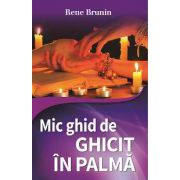 MIC GHID DE GHICIT IN PALMA