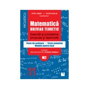 Matematică clasa a XI-a (M2). Breviar teoretic cu exerciţii şi probleme propuse şi rezolvate. Teste de evaluare 2016