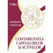 Contabilitatea capitalurilor și activelor